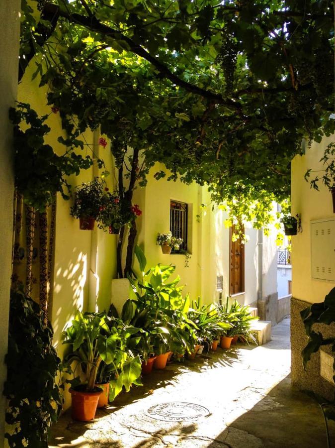 Casa Corasol, A Cozy, Comfy, 2Br House- Panoramic View And Rooftop Cáñar Kültér fotó
